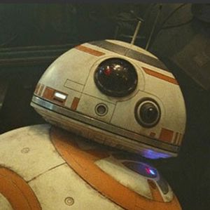 Meet your Posher, Wyatt